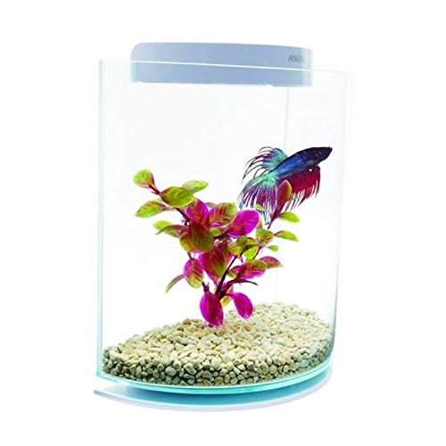 Marina Kit de Acuario con Forma de Media Luna y pez de Combate siamés, 3 litros
