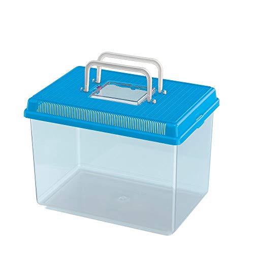 Ferplast Acuario de plástico para peces GEO LARGE Tanque de 6 L, Terrario para insectos y tortugas, Plástico, Rejillas de ventilación, Asa para el transporte, 30 x 20 x h 20,3 cm Azul marino