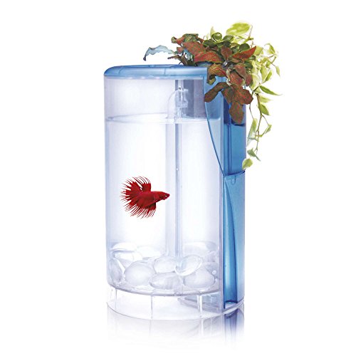 Ocean Free AT620A Kit Betta Flora Led, Blanco, con Sistema de Hidroponía, 2 litros
