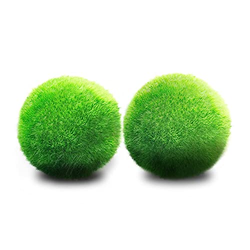 Luffy Medium Marimo Balls, 1 pulgada, Bolas vivas de bajo mantenimiento para camarones y caracoles, 2 bolas por paquete