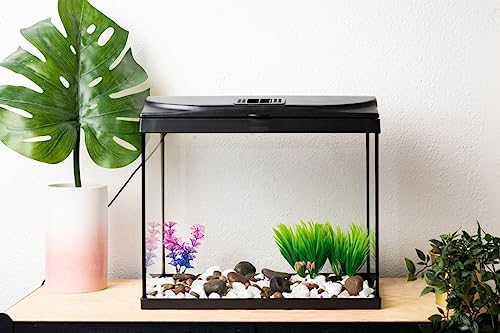 BETTASHOP.ES ACUARIOS Acuario Starter DE 60 litros con Tapa Y LUZ LED