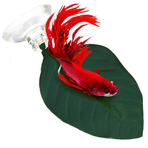 SunGrow Hamacas de hojas para peces betta, 6 pulgadas, punto de descanso ligero y realista, cama de plástico verde oscuro, cómodo, fácil de montar, ventosas incluidas, paquete de 3