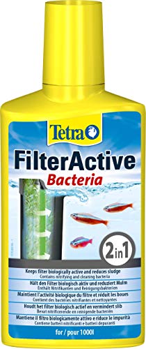 Tetra FilterActive 250 ml - Contiene bacterias iniciadoras vivas y bacterias limpiadoras reductoras de lodo