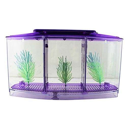 Betta Bow Acuario Tanque Acrílico Pecera con 6 LEDs
