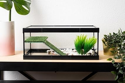 BETTASHOP.ES TORTUGUERA Cristal para Tortugas Acuario PEQUEÑA Tortugas