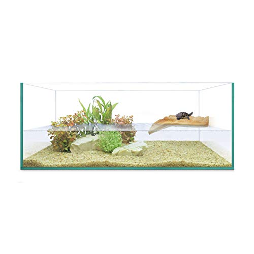ICA AAS50 Tortuguera Isla de REPTI Selva con Solarium, Tapa de Cristal y Alfombrilla Protectora, 50x28x20 cm