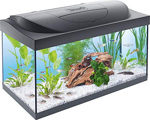 Tetra Starter Line LED Acuario 54 L - Juego completo que incluye iluminación LED, un acuario estable para principiantes con tecnología, alimentos y productos de cuidado, negro