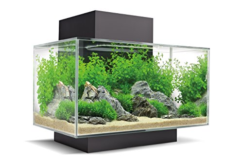 Fluval Edge Nano Acuario, Negro, 23 L