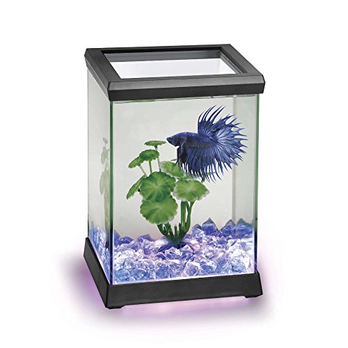 Ocean Free AT619A Kit Betta Space Led, Negro, 4,95 litros, 15.5x15.5x10.5 cm