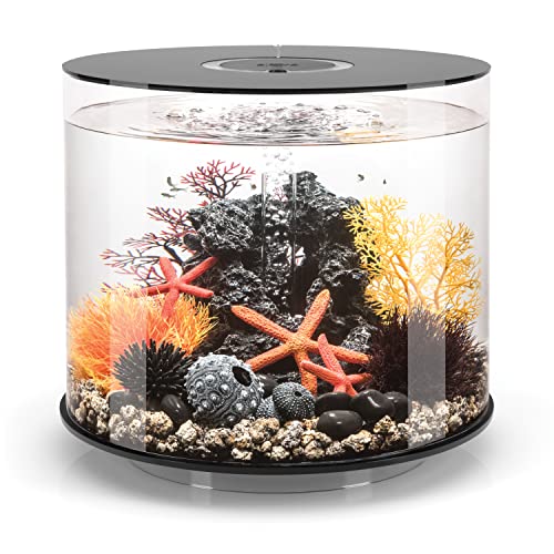 biOrb 72070 TUBO 35 LED, negro (35 litros) - Acuario decorativo de 360 grados | set completo de cristal acrílico con iluminación LED, sistema de filtrado y fondo de cerámica