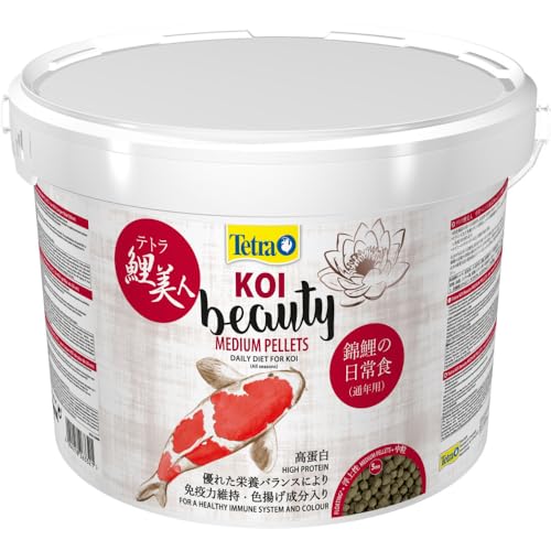 Tetra Koi Beauty Premium de Principal Forro para Salud y color PRACHT