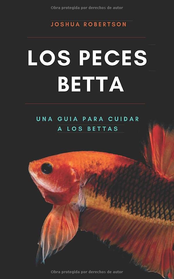 Los Peces Betta: Una Guía Para Cuidar A Los Bettas