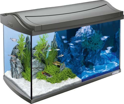 Tetra AquaArt Discovery Line Acuario 60 litros (Juego completo que incluye iluminación LED), Antracita