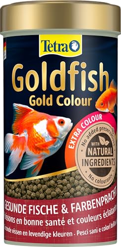 Tetra Goldfish Gold Colour - alimento premium en forma de gránulos para todos los carpines dorados, lata de 250 ml