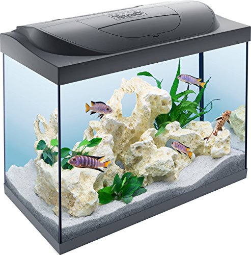 Tetra Starter Line LED Acuario 80 L - Juego completo que incluye iluminación LED, un acuario estable para principiantes con tecnología, alimentos y productos de cuidado, negro