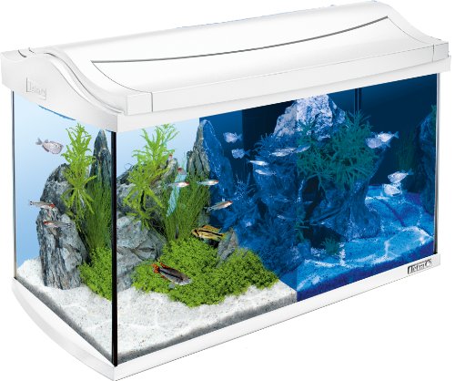 Tetra Set completo de acuario LED AquaArt de 60 litros, incluye iluminación LED, interruptor de luz diurna y nocturna, filtro interno EasyCrystal y calentador de acuario, color: blanco