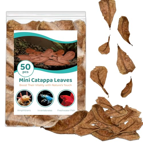 SunGrow Fin Rot Leaves, Suplemento de Agua y Medicina para Betta, Mantén a Bettas Feliz, Contienen compuestos beneficiosos, Hojas de Almendro Indio de 2 '(5 cm) de Largo, 50 Hojas