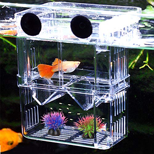 Caja de Cría de Peces de Acuario de Doble Capa, Aislamiento y Criadero para Guppy y Peces Tropicales, Separador de Tanque de Incubadora Flotante