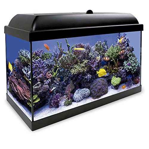 ICA KHS80N Kit Hydra 80 para Agua Salada